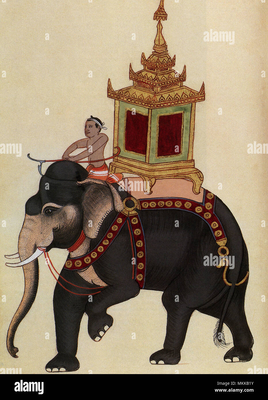 Des Königs Elephant Stockfoto