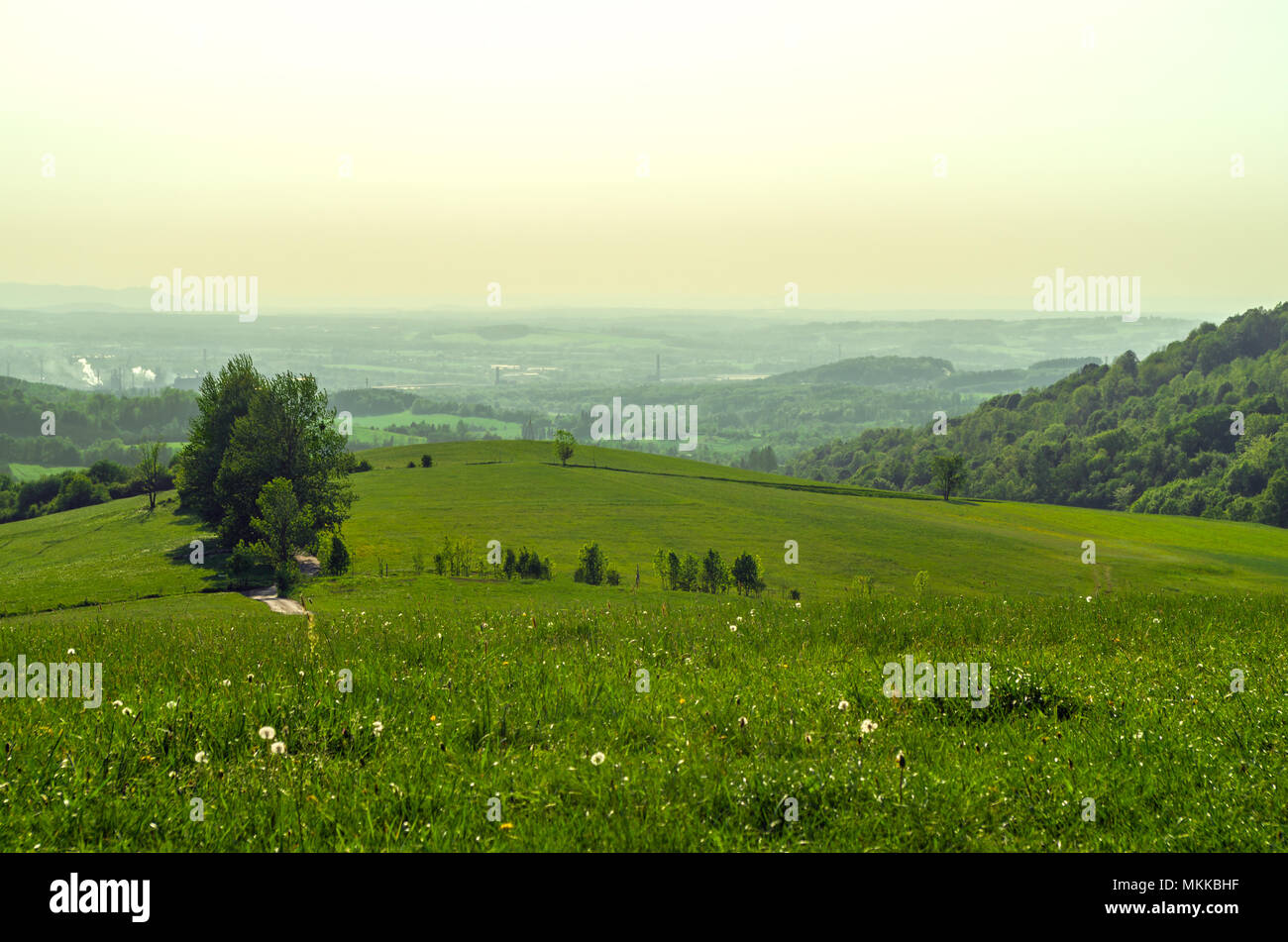 Hügel mit grünen Wiesen, Wald und Eisenhütten im Hintergrund in der öffentlichen Boden, Ustron, Wielka (große) Czantoria Hang, Schlesische Beskiden, Polen. Stockfoto