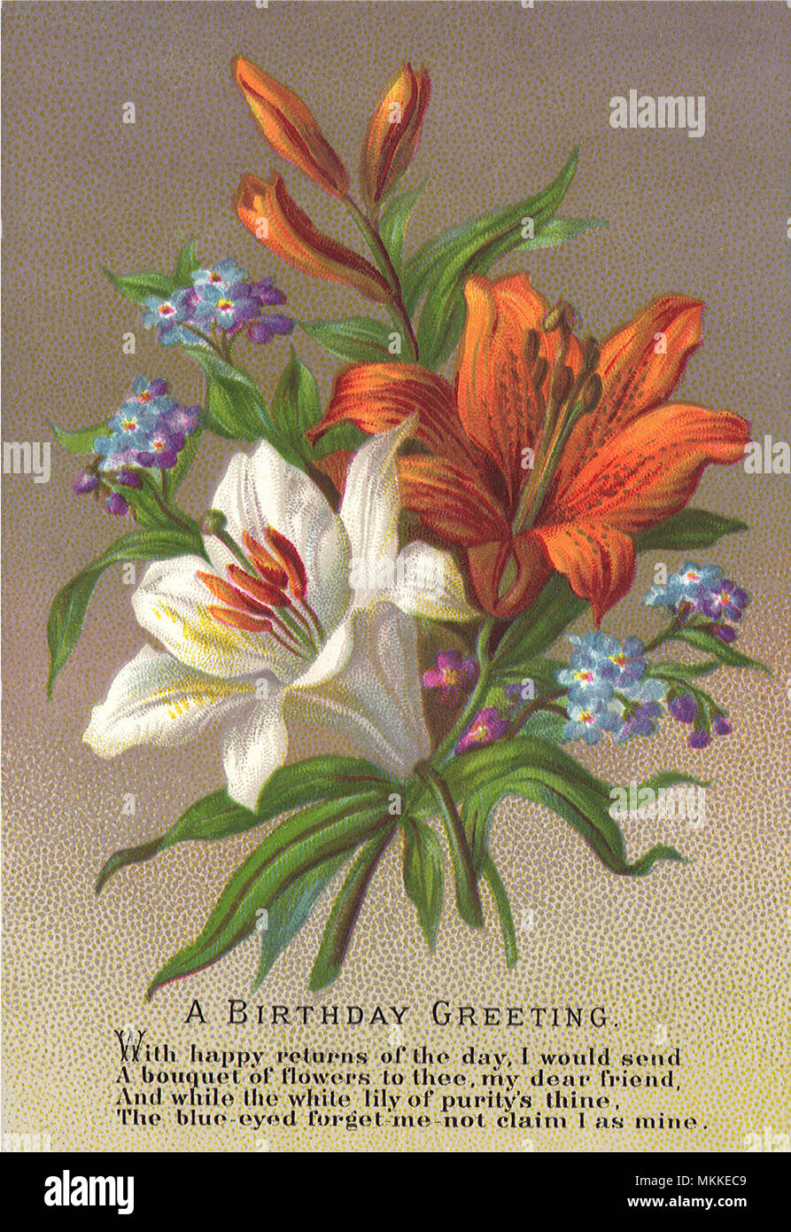 Blumen zum Geburtstag Karte Stockfoto