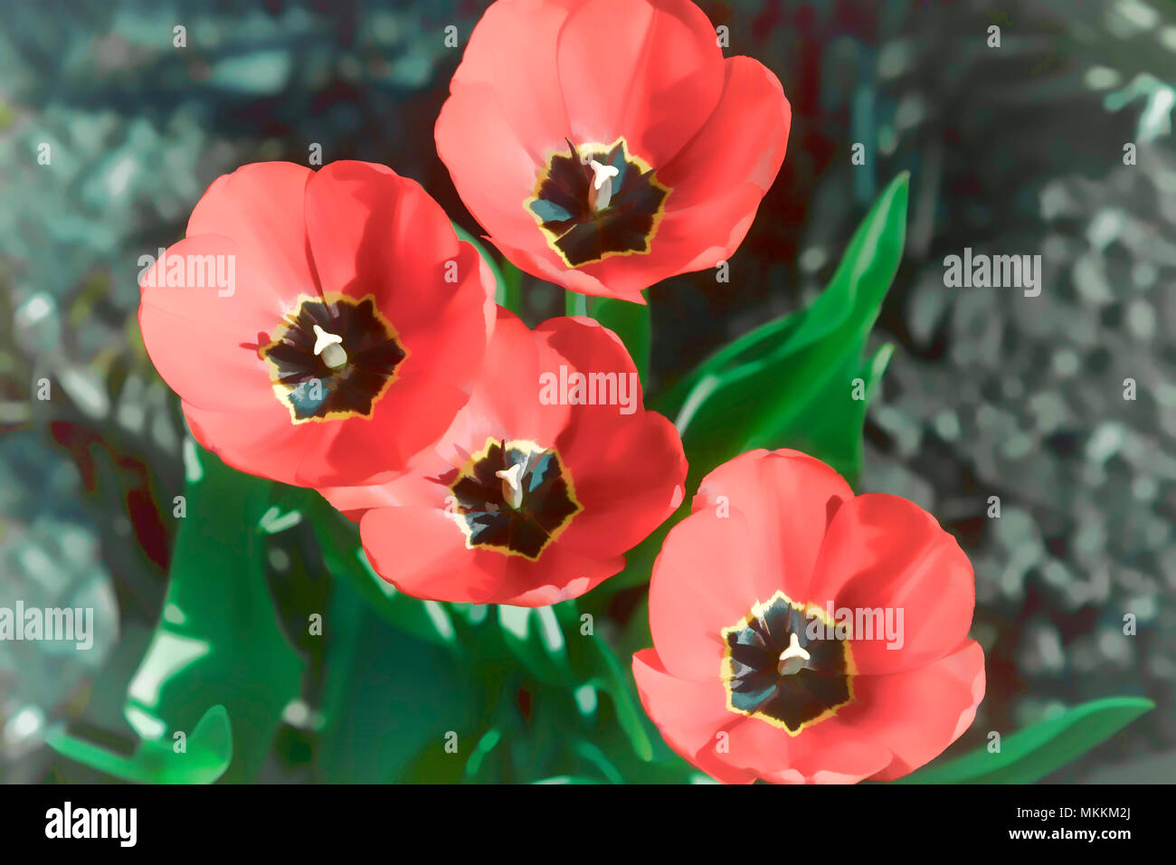 Im Garten blüht eine Gruppe von roten Tulpen auf einem Hintergrund von grünem Laub im Blumenbeet. Die Aussicht von oben. Das Aquarell Wirkung. Stockfoto