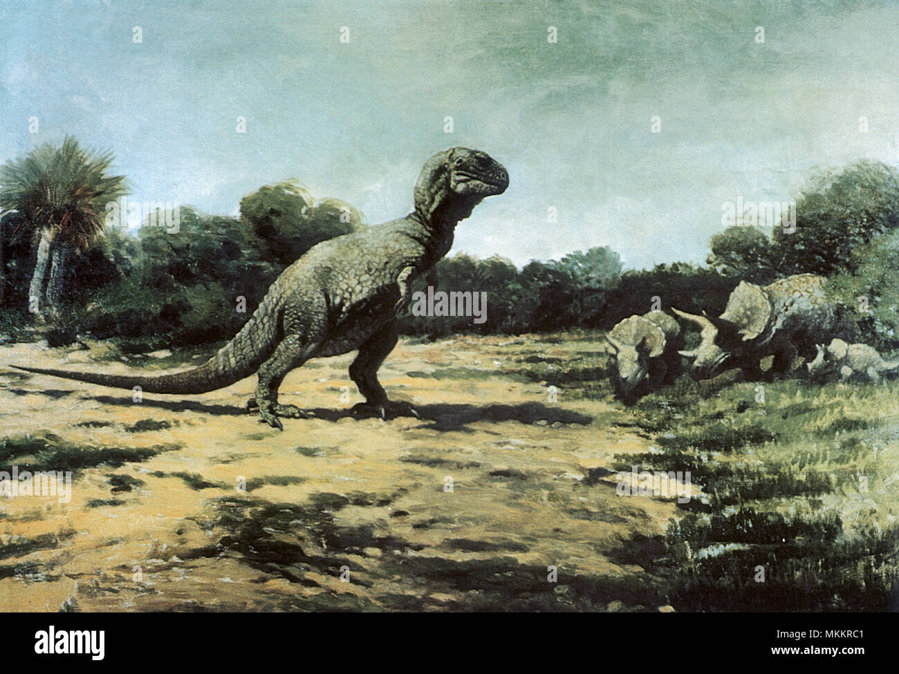 Dinosaurier konfrontiert Stockfoto