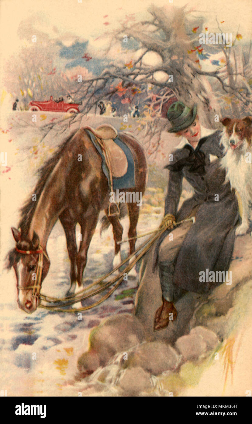 frau mit hund und pferd stockfotografie alamy