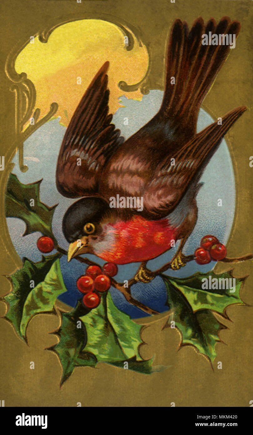 Vogel auf Holly Stockfoto