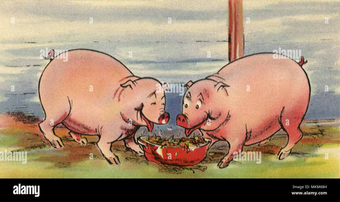 Zwei Schweine und Speiseabfällen Stockfoto
