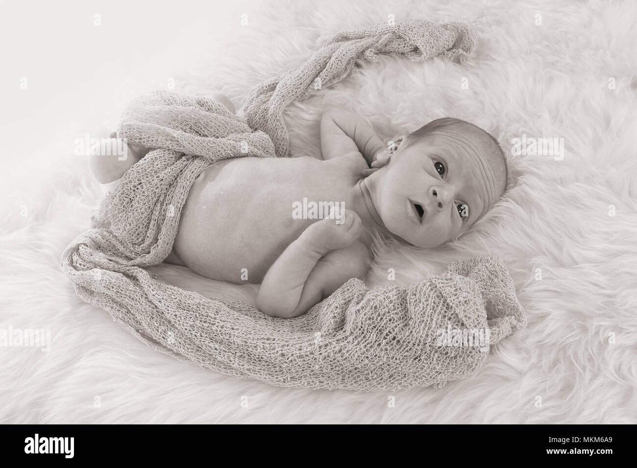 13 Tage altes Baby girl Stockfoto
