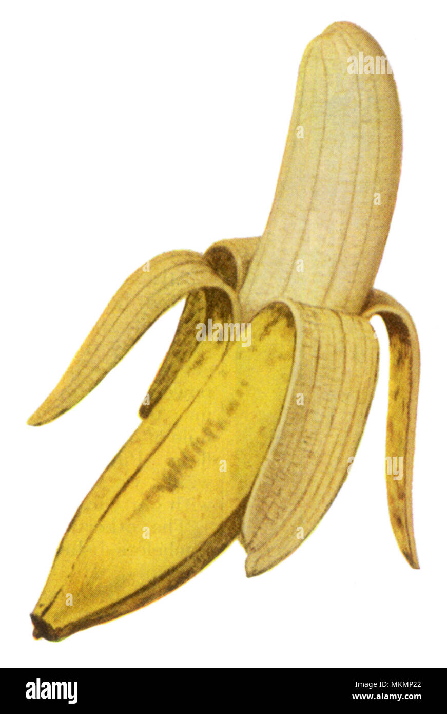 Schälen und reife Banane Stockfoto