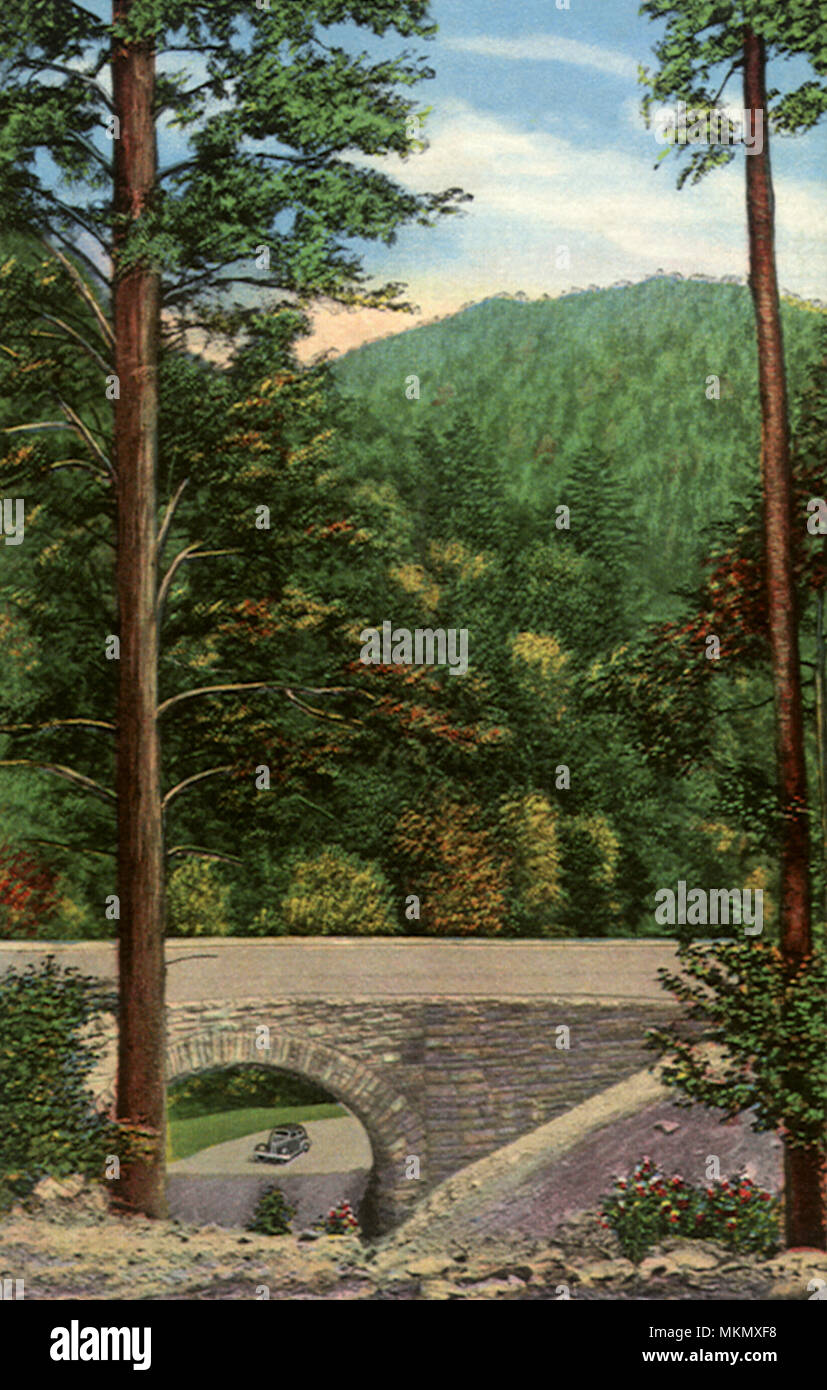 Loop-Over Tunnel, Great Smoky Mountains National Park Stockfoto