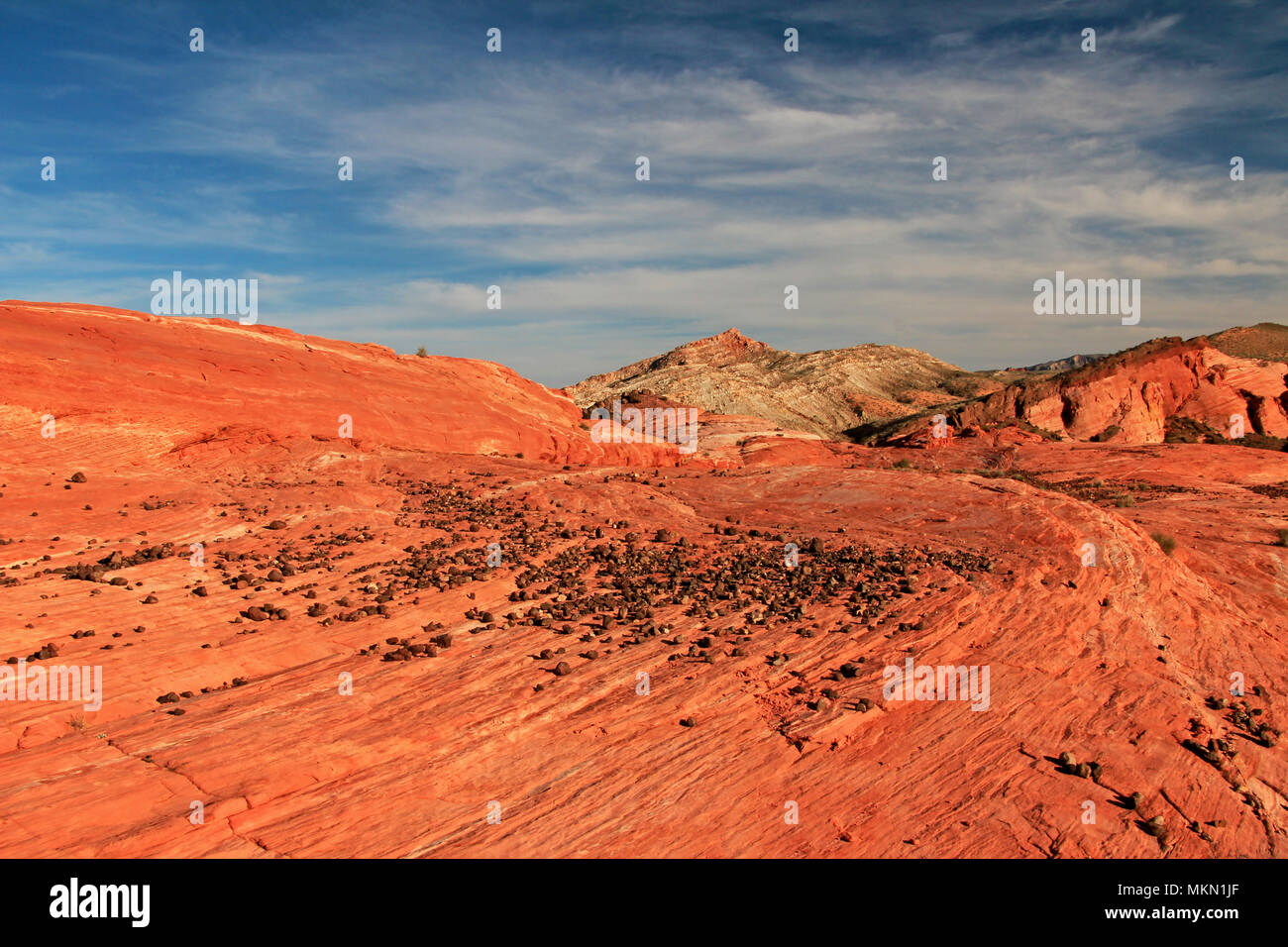 Gestreifte Felsen auf Crazy Hill in Rosa Canyon, in der Nähe von Feuer Wave bei Sonnenuntergang, Valley of Fire State Park, USA Stockfoto