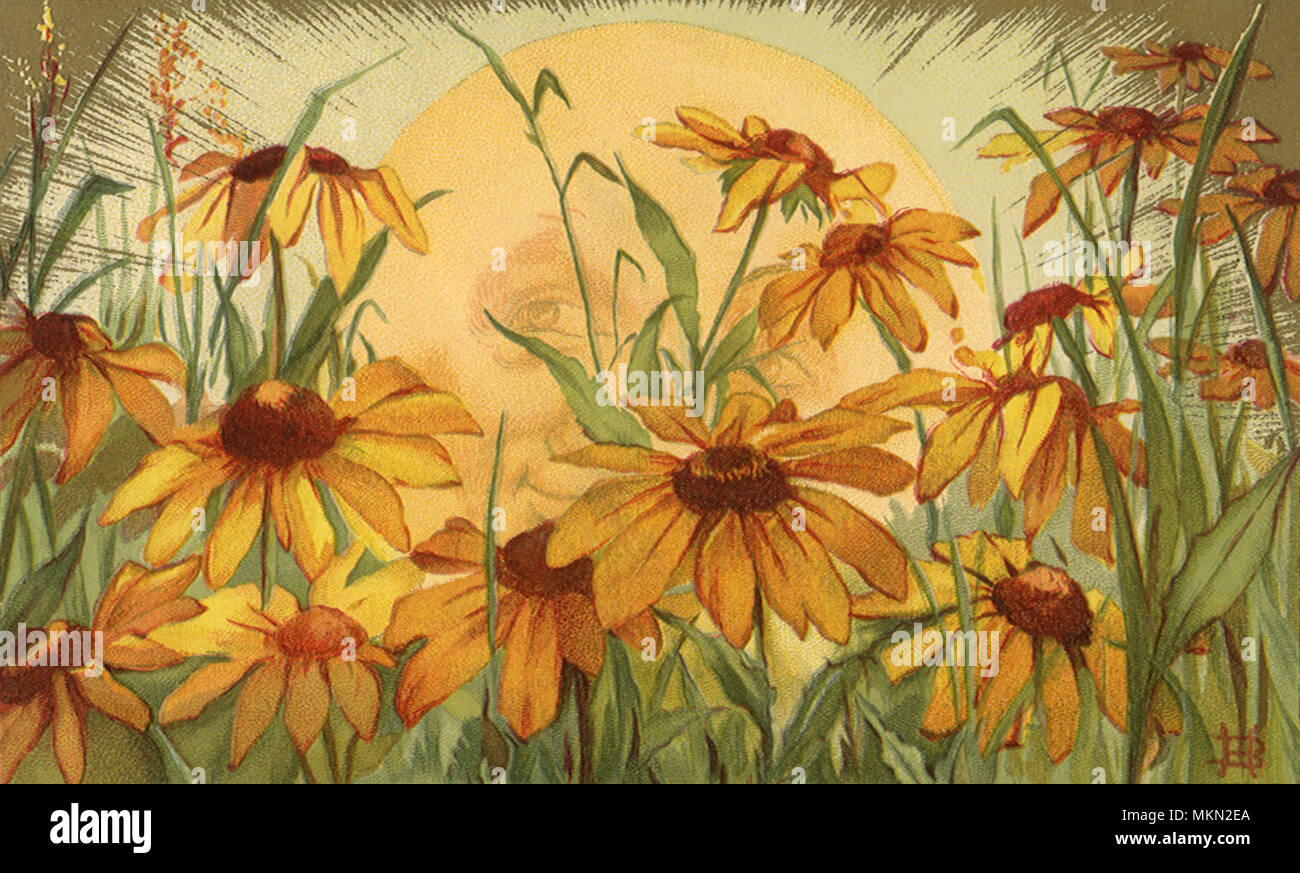 Sonne und Sonnenblumen Stockfoto