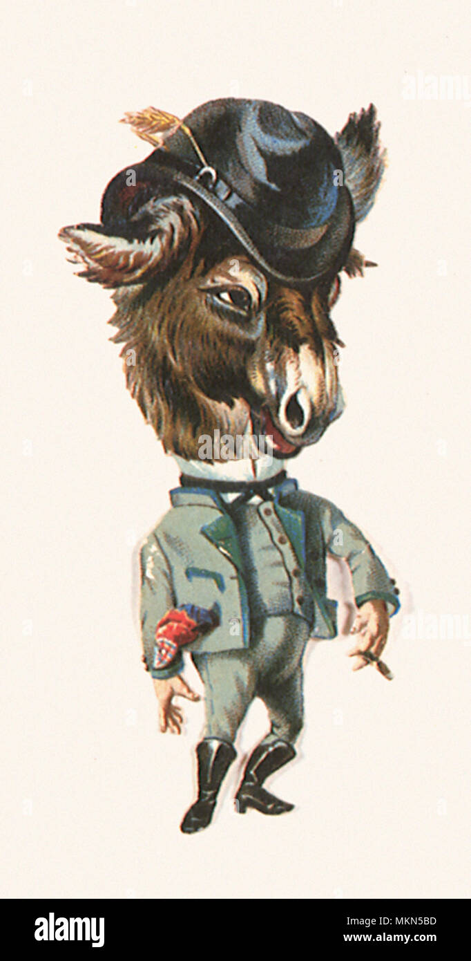 Esel in Anzug Stockfoto