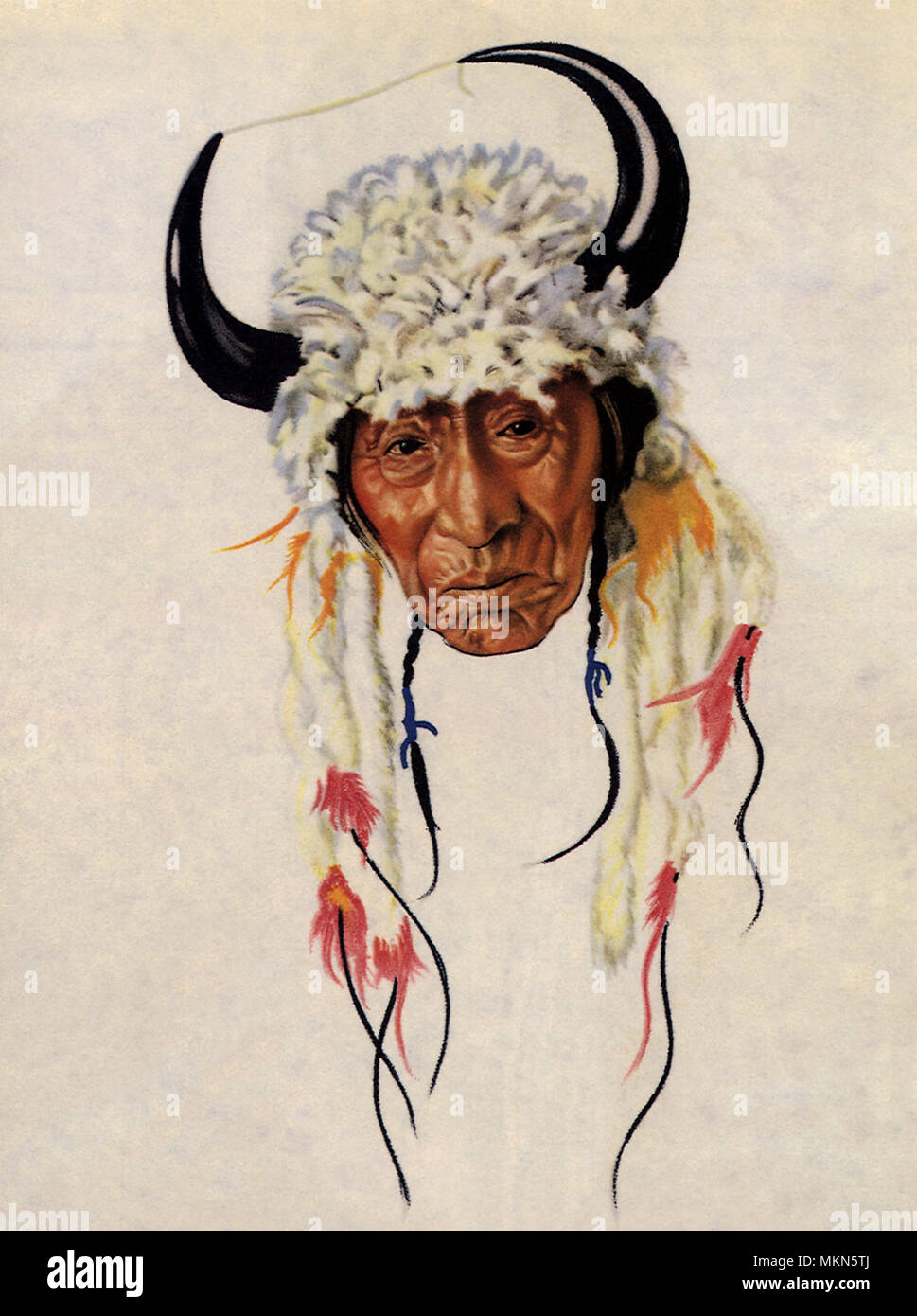 Buffalo Körper Stockfoto