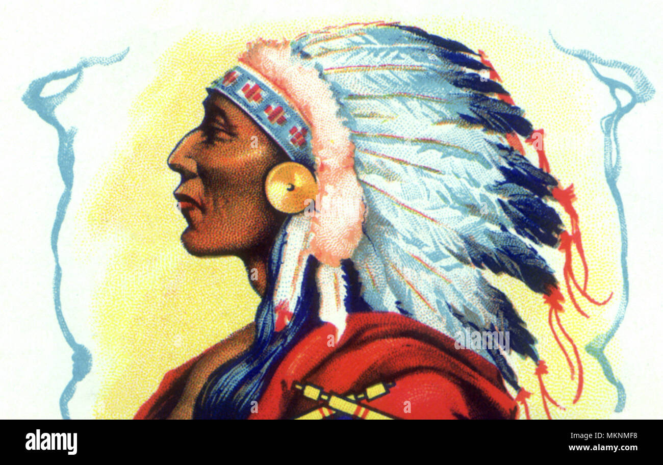 Chief indische Portrait Stockfoto