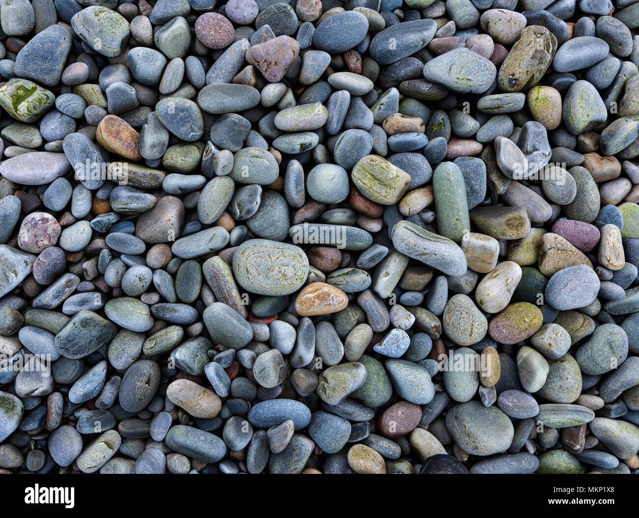 Nahaufnahme von Kieselsteinen am Strand von ardmair Bucht im Nordwesten Schottland Stockfoto