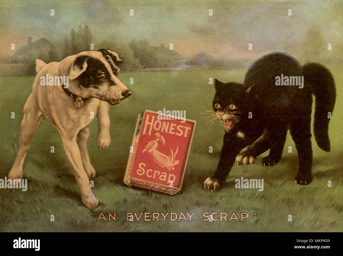 Hund und Katze über Ehrlich Schrott Tabak Kampf Stockfotografie - Alamy