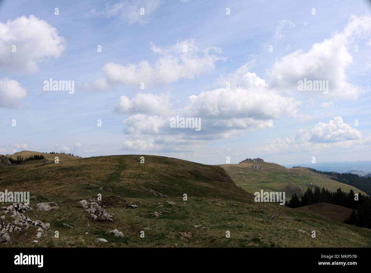 Natur, Berge, Wälder und in die Bukowina, Rumänien Stockfoto