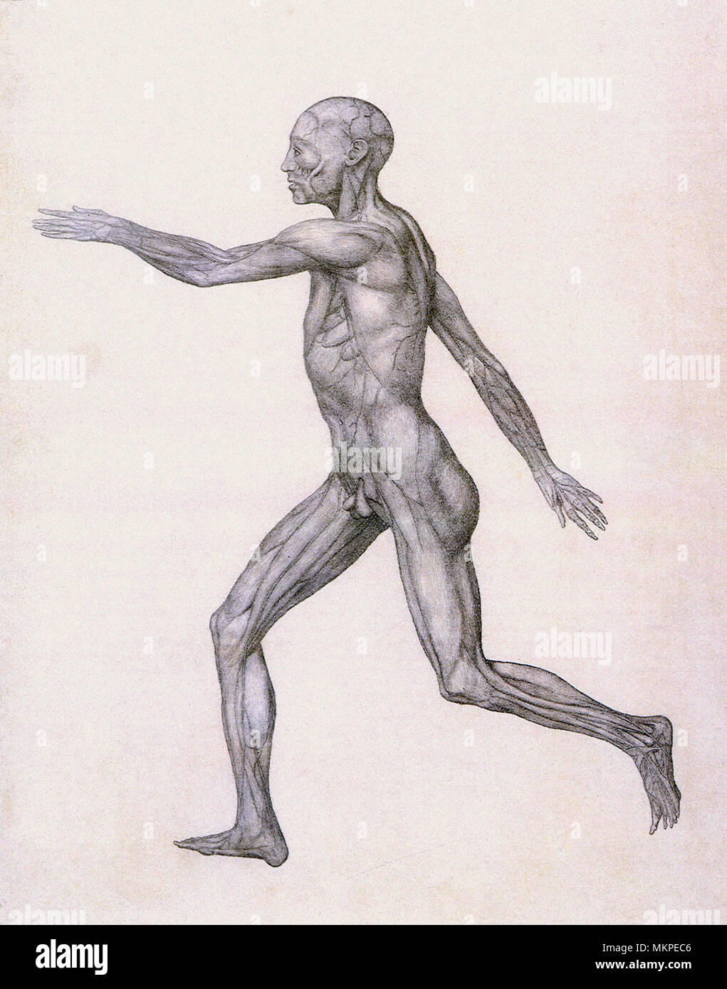 Menschen, Seitenansicht Stockfoto