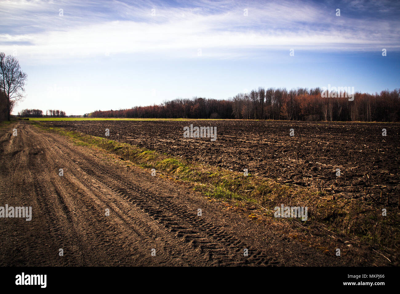 Landwirtschaft Feld Landschaft im Frühling Quebec Kanada morgen Stockfoto