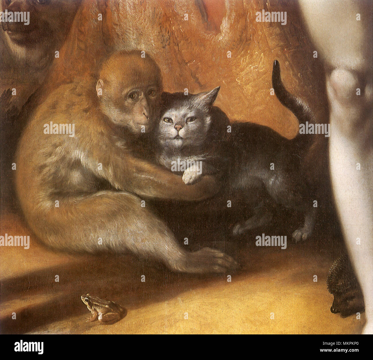 Affe und Katze Umarmung Stockfoto