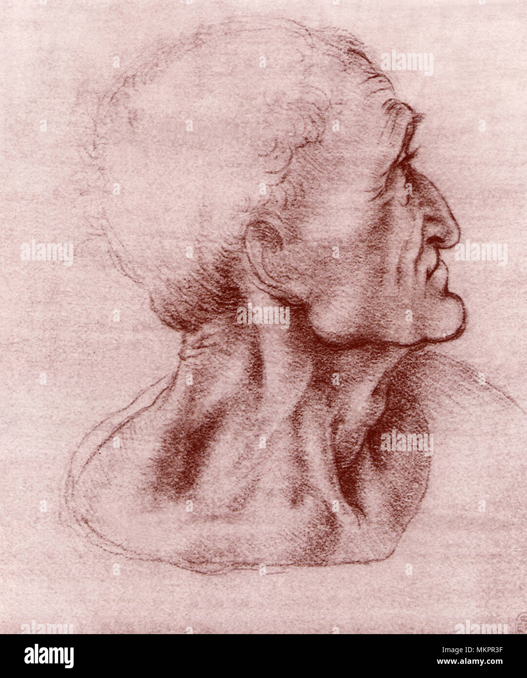 Studie für ein Apostel Stockfoto