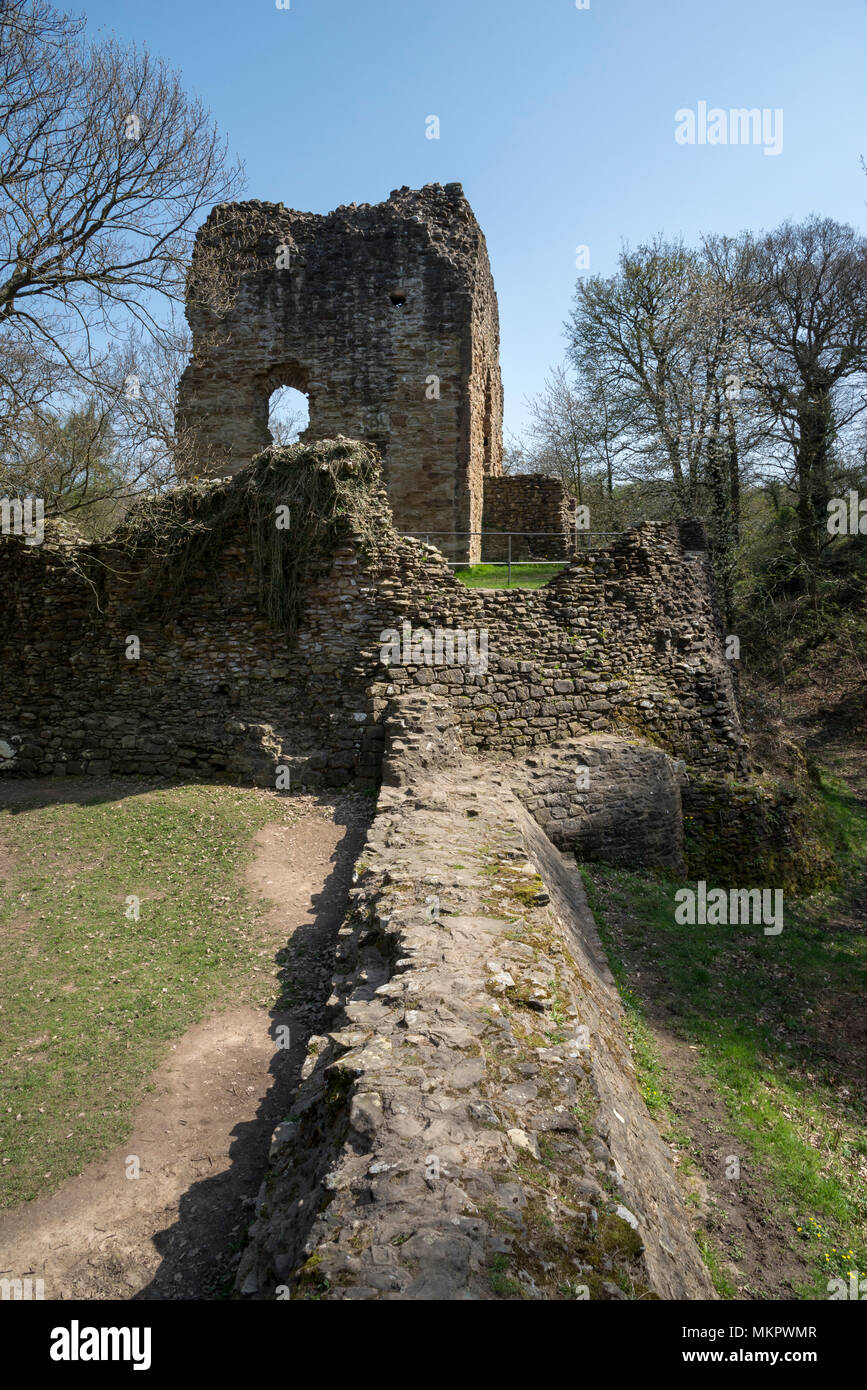 Ruinen von Ewloe schloss im Norden von Wales. 13. Jahrhundert einheimischen Walisischen schloss versteckt im Wald in der Nähe des Dorfes Ewloe. Teil der Wepre Country Park. Stockfoto