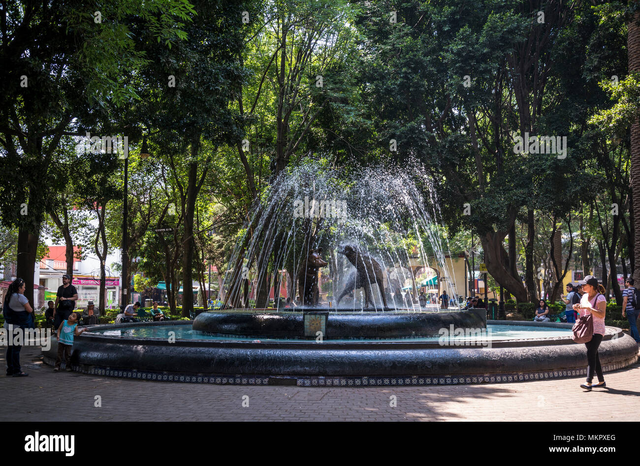 Springbrunnen, Plaza del centenario, auch genannt das Jardín del centenario, Coyoacan, Mexiko City, Mexiko Stockfoto