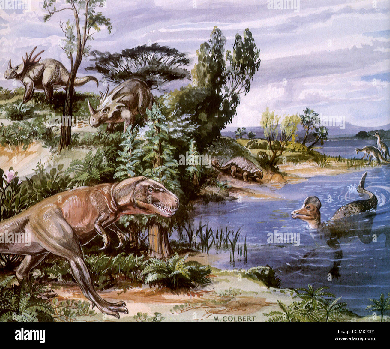 Albertasaurus, Corythosaurus, Ankylosaurus, & Styracosaurus Stockfoto