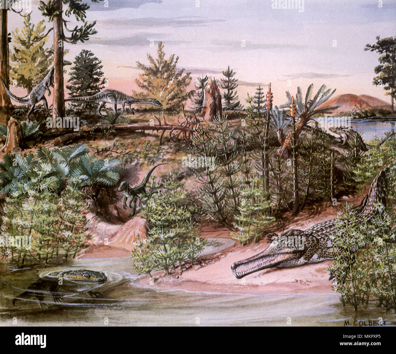 Dinosaurier in einem Sumpf Stockfoto