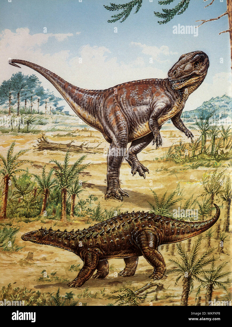 Megalosaurus und Scelidosaurus Stockfoto