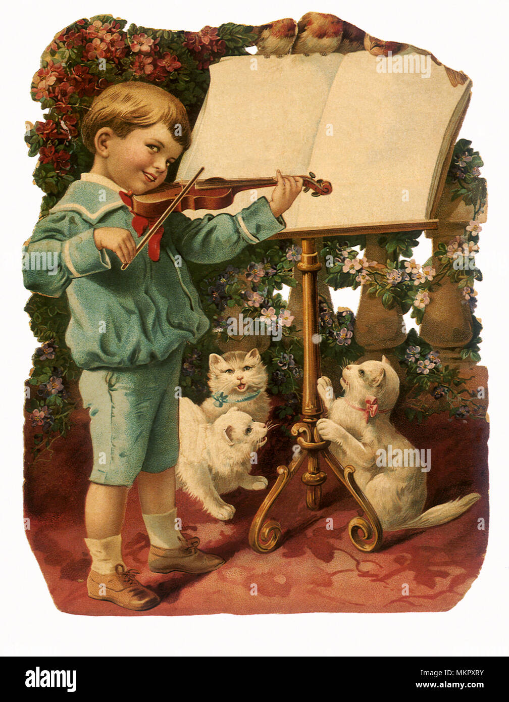 Junge spielt Geige mit Katzen Stockfoto