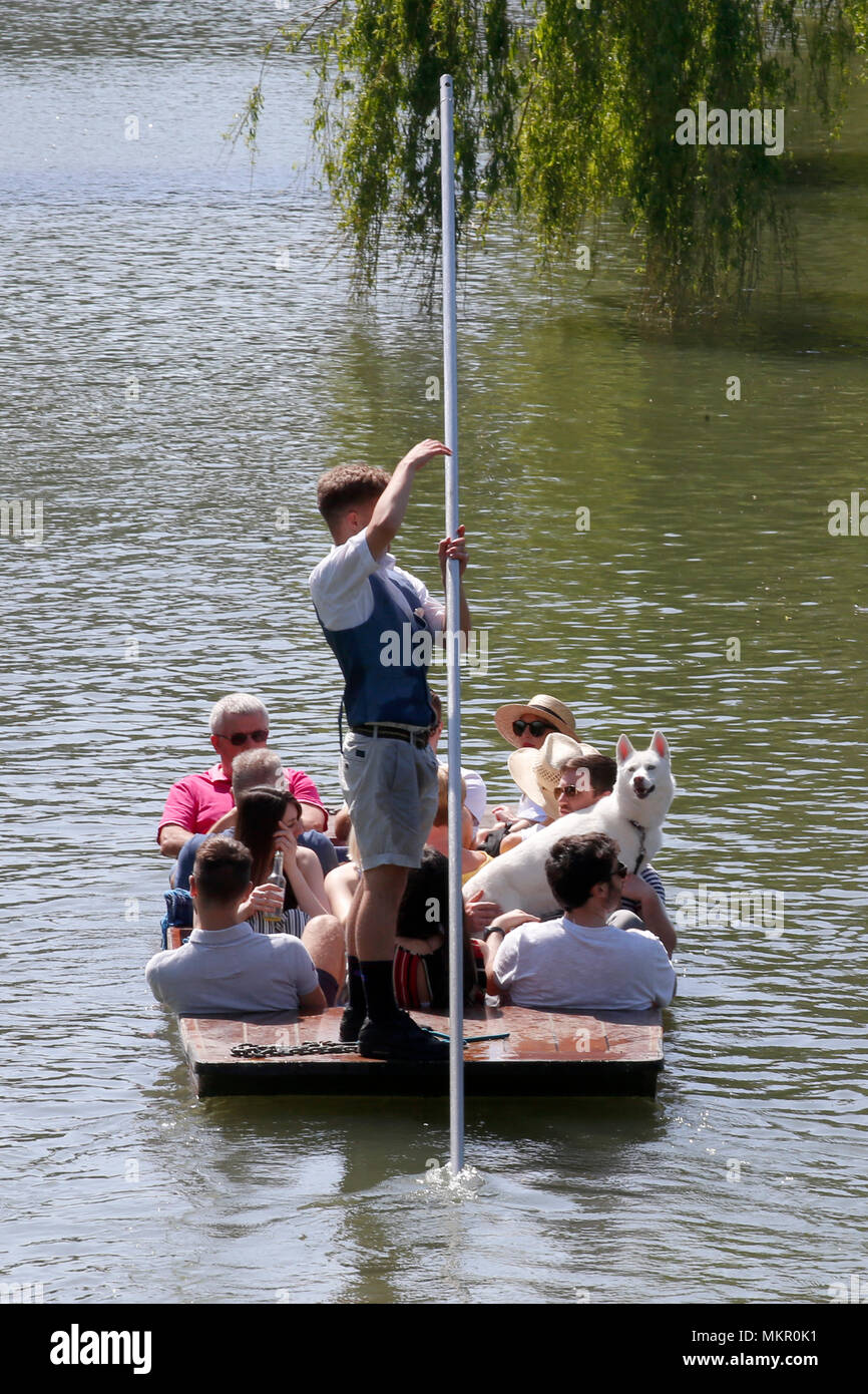 Bootfahren auf dem Fluss Cam in Cambridge Stockfoto