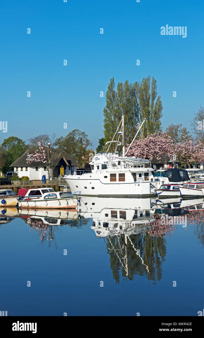 Oulton Broad, in der Nähe von Lowestoft, Norfolk Broads, Norfolk, England Großbritannien Stockfoto