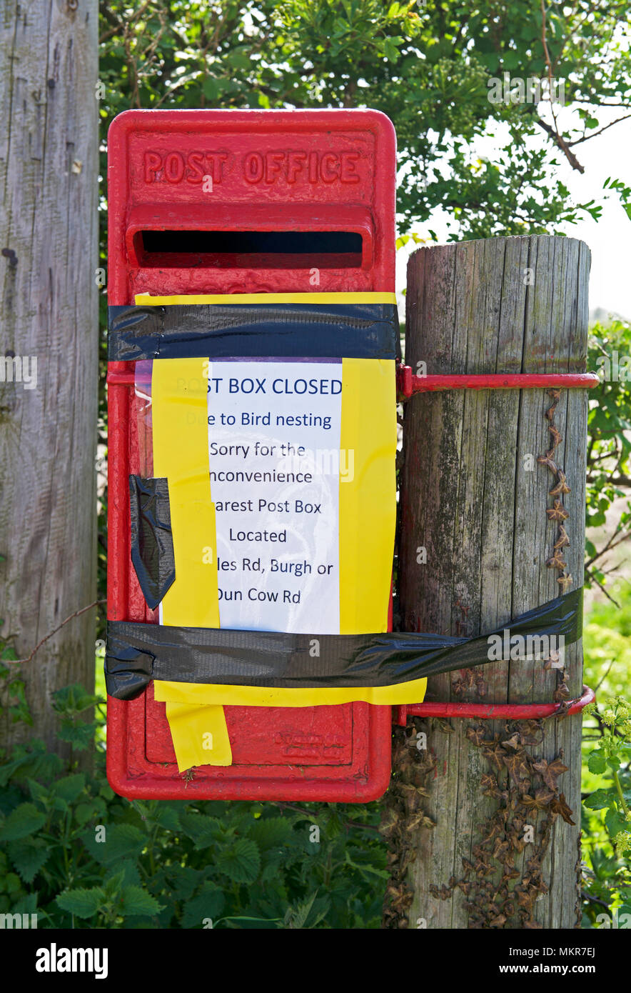 Royal Mail Post-box, nicht verwendet werden, da die Vögel nisten in Es  sind, England Großbritannien Stockfotografie - Alamy