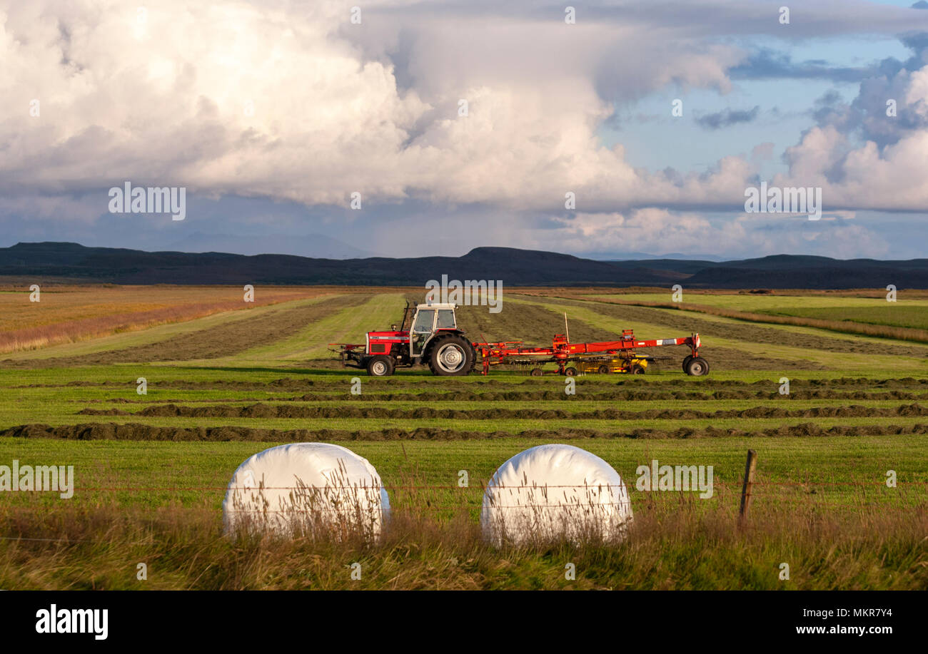 Traktor mit Gras Ballen weiße Kunststofffolie in Skeiða gestapelt - og Hrunamannavegur, Island Stockfoto