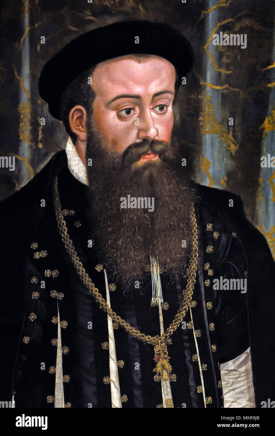 Herzog albrecht v Fotos und Bildmaterial in hoher Auflösung Alamy