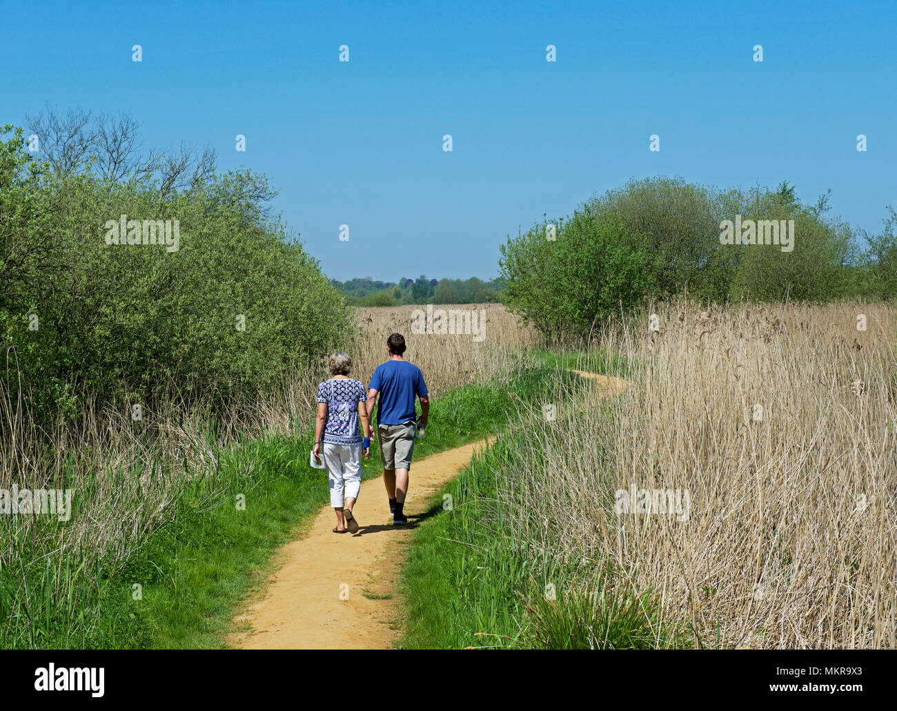 Paar wandern, Strumpshaw Fen, RSPB Nature Reserve, in der Nähe von Norwich, Norfolk, England Großbritannien Stockfoto