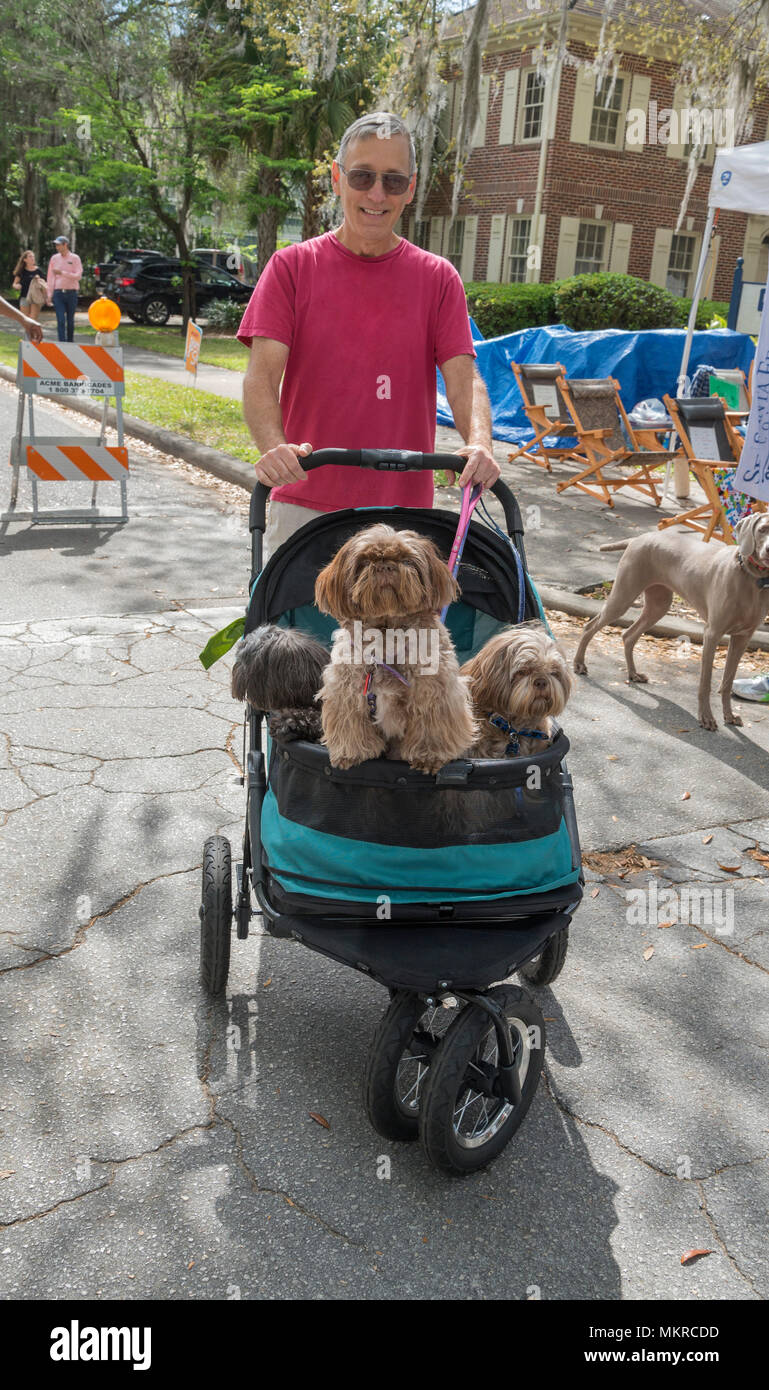 Frühlingsfest in Gainesville, Florida, mit einer Vielzahl von Ausdrucksformen und Erfahrungen. Mann sein Fell Babys drücken in einen Kinderwagen. Stockfoto