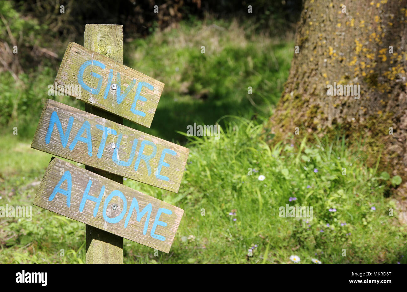 Natur geben einen Home anmelden Stockfoto