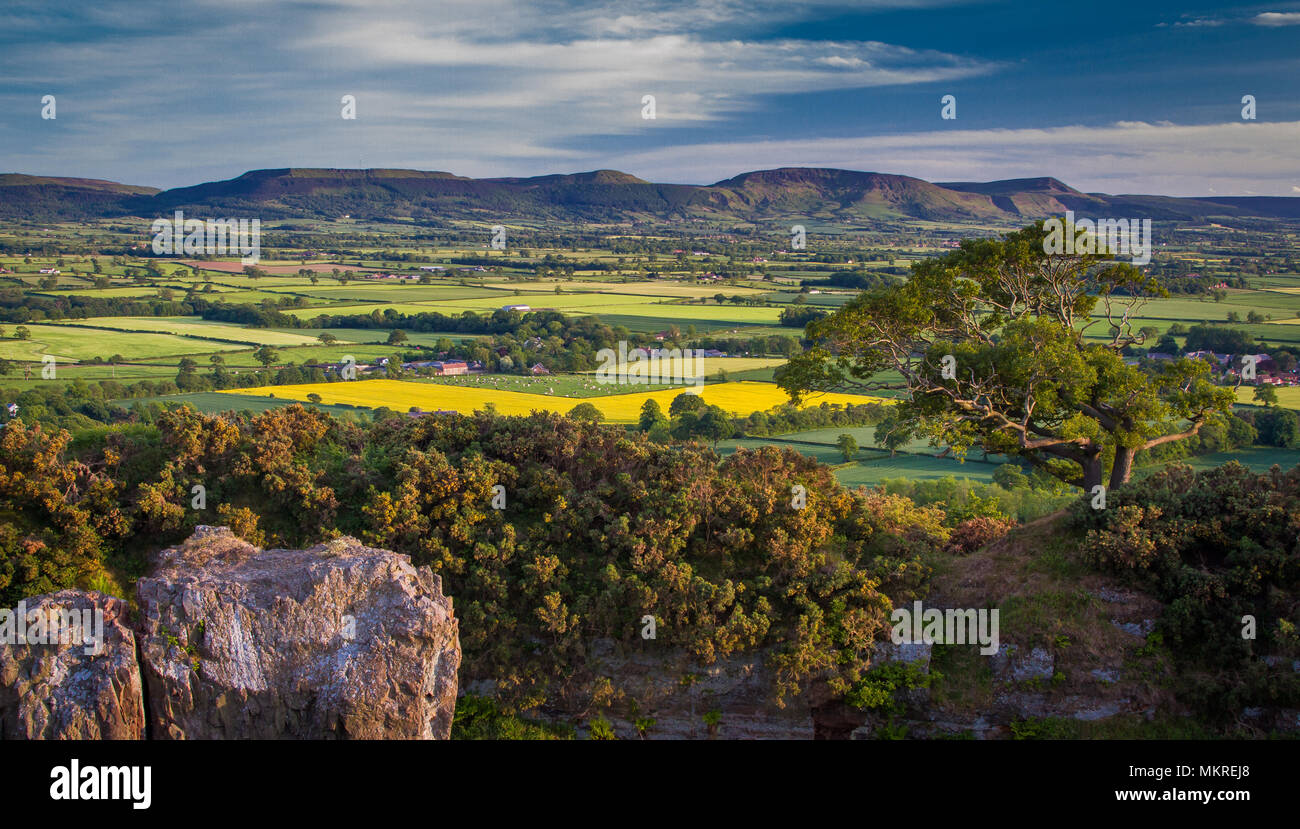 Blick auf North Yorkshire Moors in der Nähe von Great Ayton Stockfoto