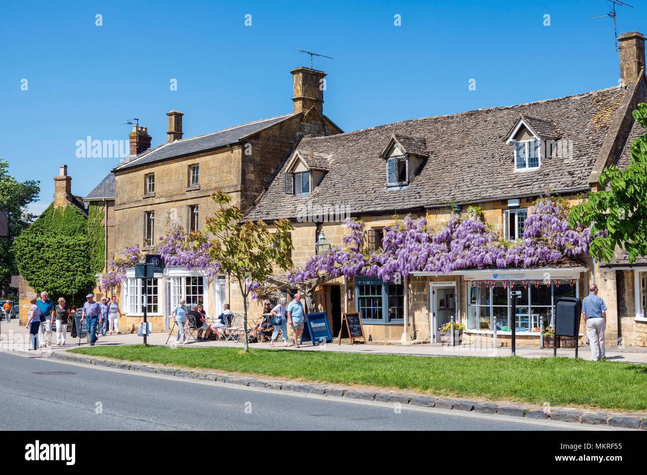 Broadway Cotswolds, UK. Wisteria in Blüte, reife Muster Anlage im Cotswold Village des Broadway. Stockfoto