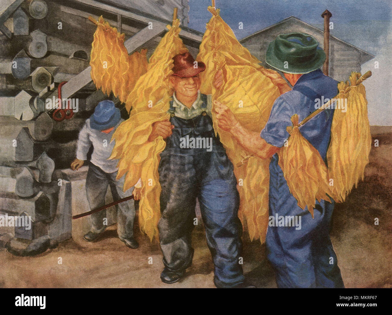 Mächtiges feines Blatt Stockfoto