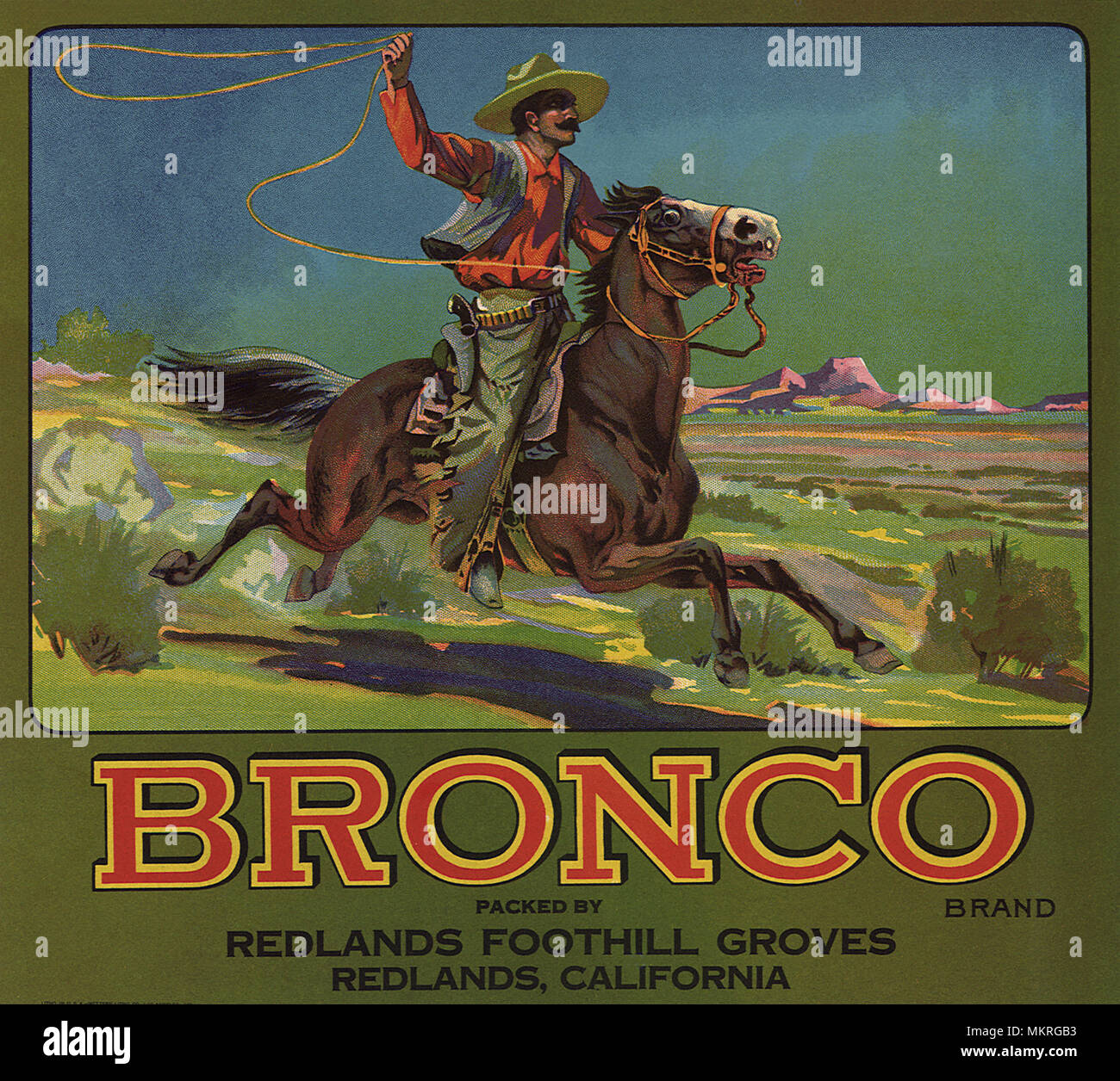 Bronco Cowboy mit Lasso auf Pferd Stockfoto