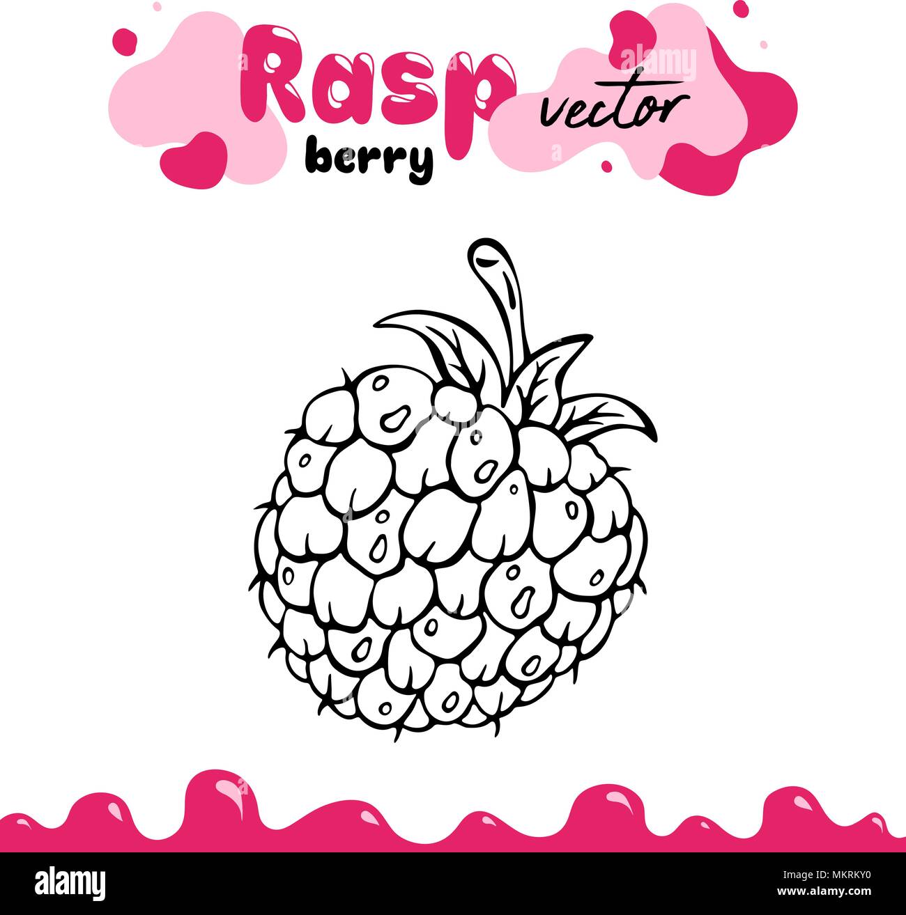 Himbeere Vektor-illustration, Berry clipart. Himbeere Vector Illustration für Logo, Design. Isolierte himbeere Vector Illustration für Menü, Paket. Hand gezeichnet Berry clipart, Himbeere isoliert Stock Vektor