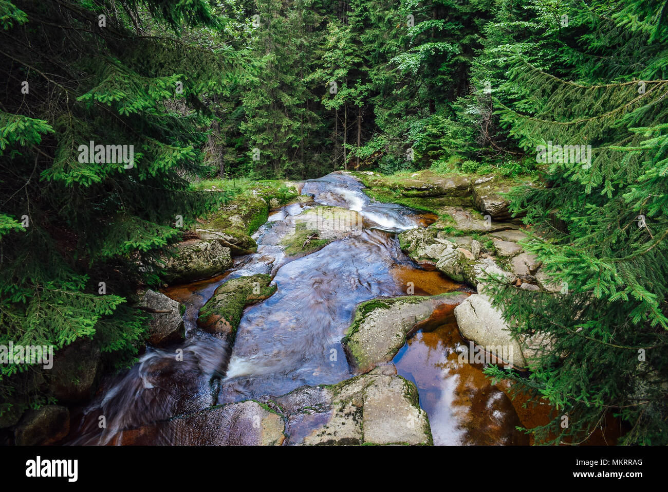 Wasserfall Kante in die Berge, Wald im Süden von Polen. Stockfoto