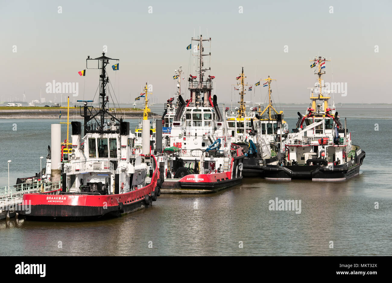 Verschiedenen Schleppern im äußeren Hafen der Niederländischen Hafenstadt Terneuzen Stockfoto