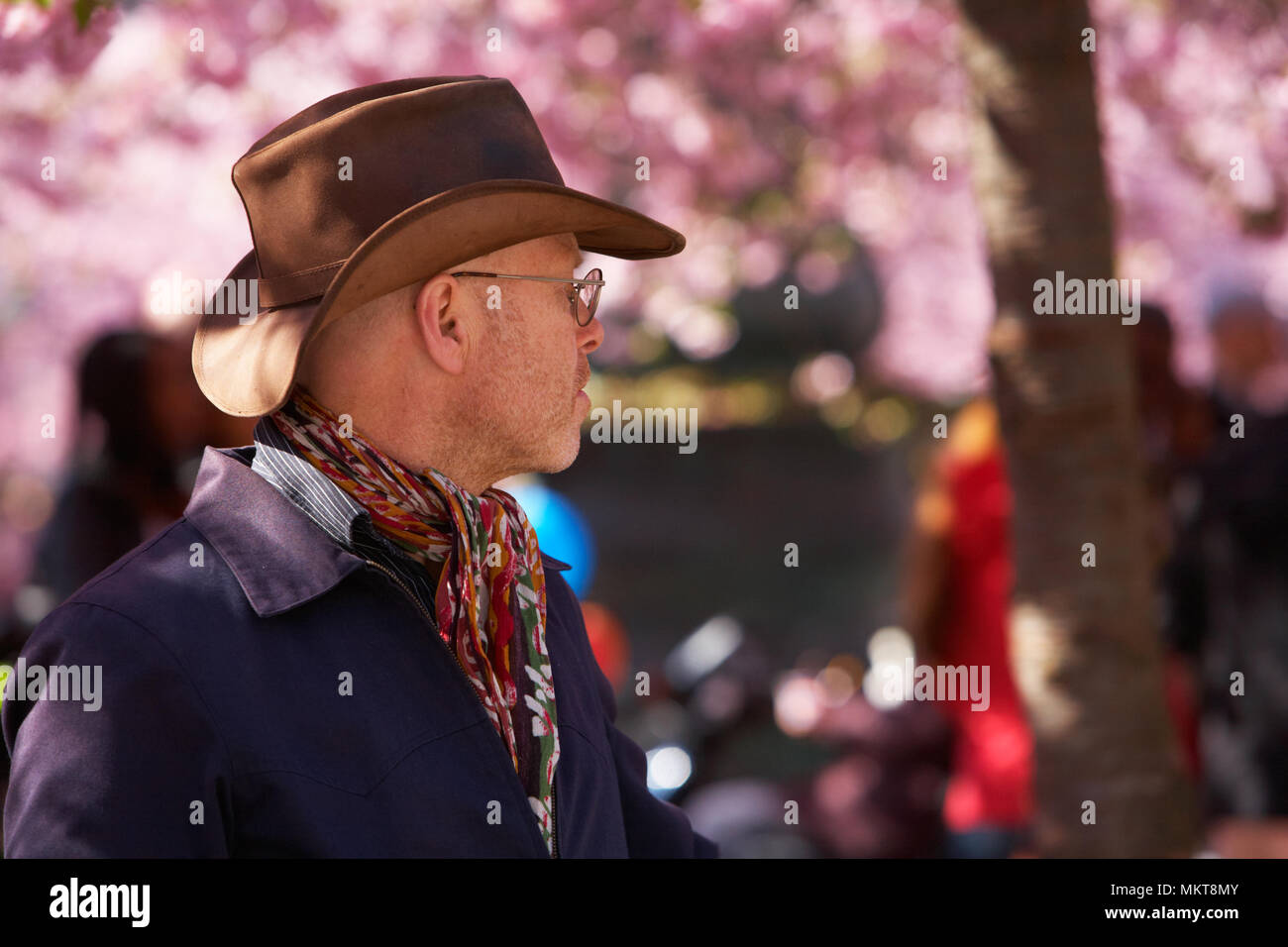 STOCKHOLM, Schweden - 30 April 2012: Der Frühling hat nach Stockholm kommen und Leute genießen unter den blühenden Japanischen Kirschbäume im Park" Kungs Stockfoto