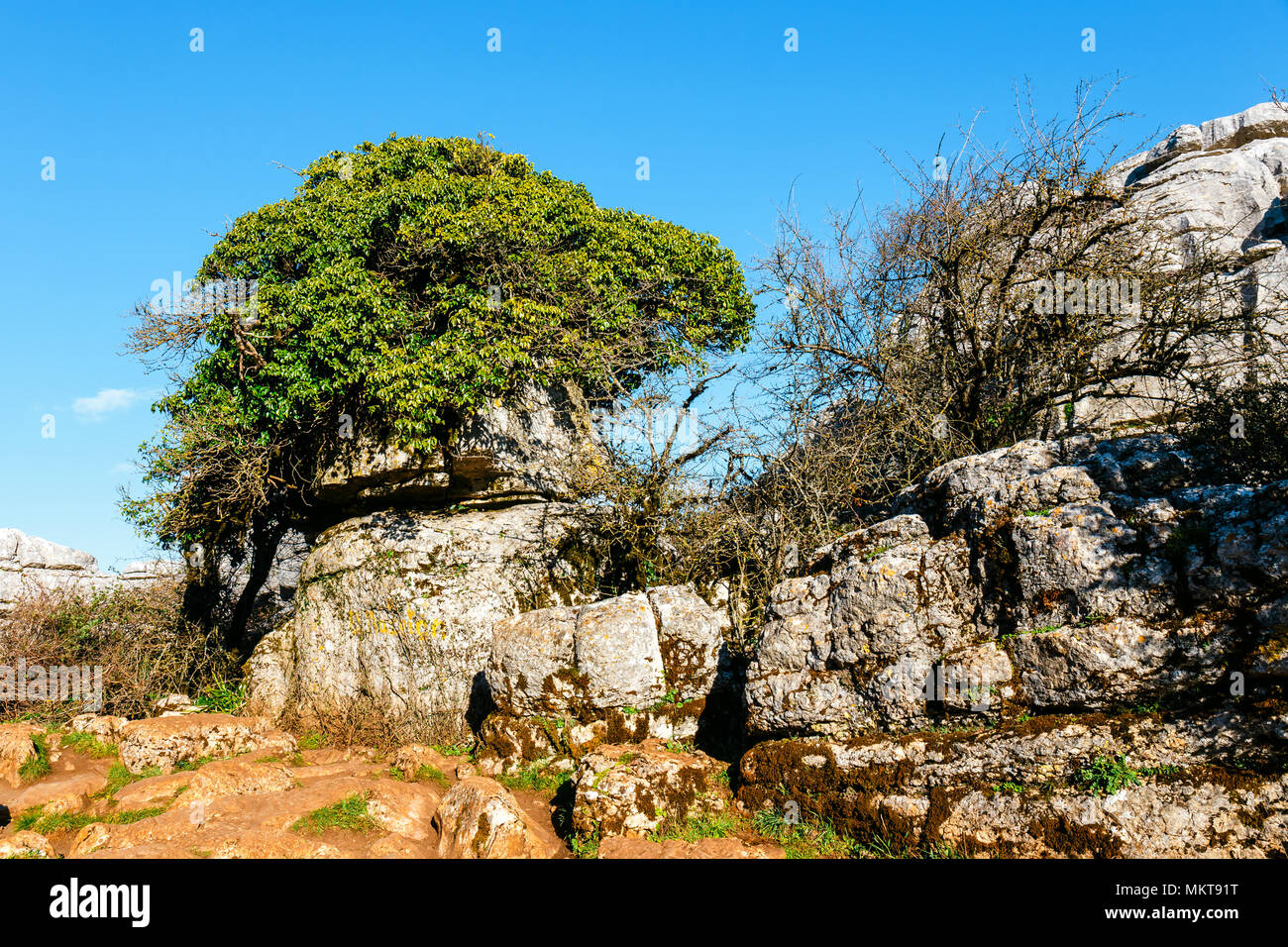 Karstlandschaft in El Torcal de Antequera Naturpark, Andalusien, Spanien Stockfoto