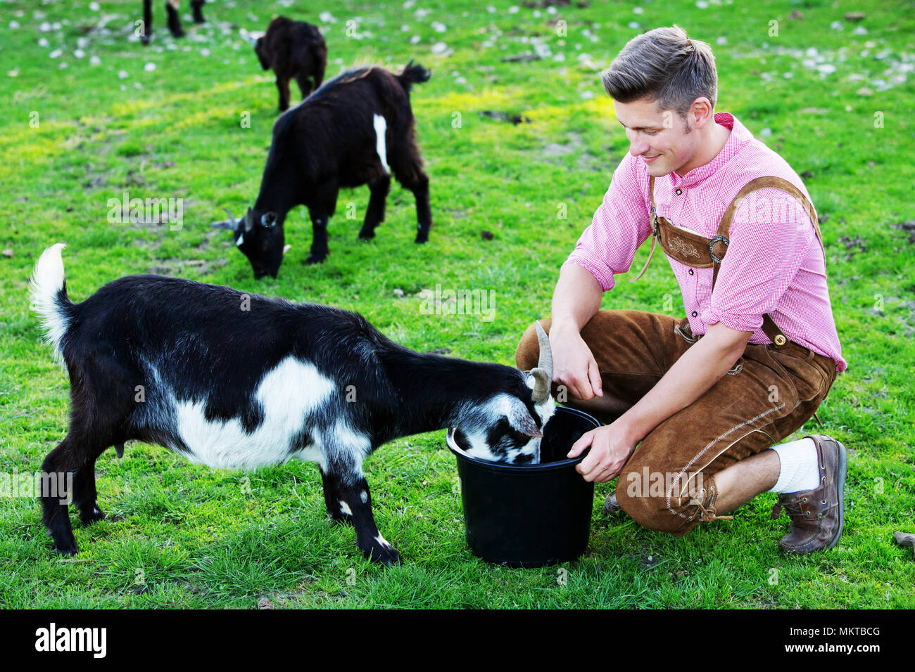 ziegen-im-freien-fotos-und-bildmaterial-in-hoher-aufl-sung-alamy