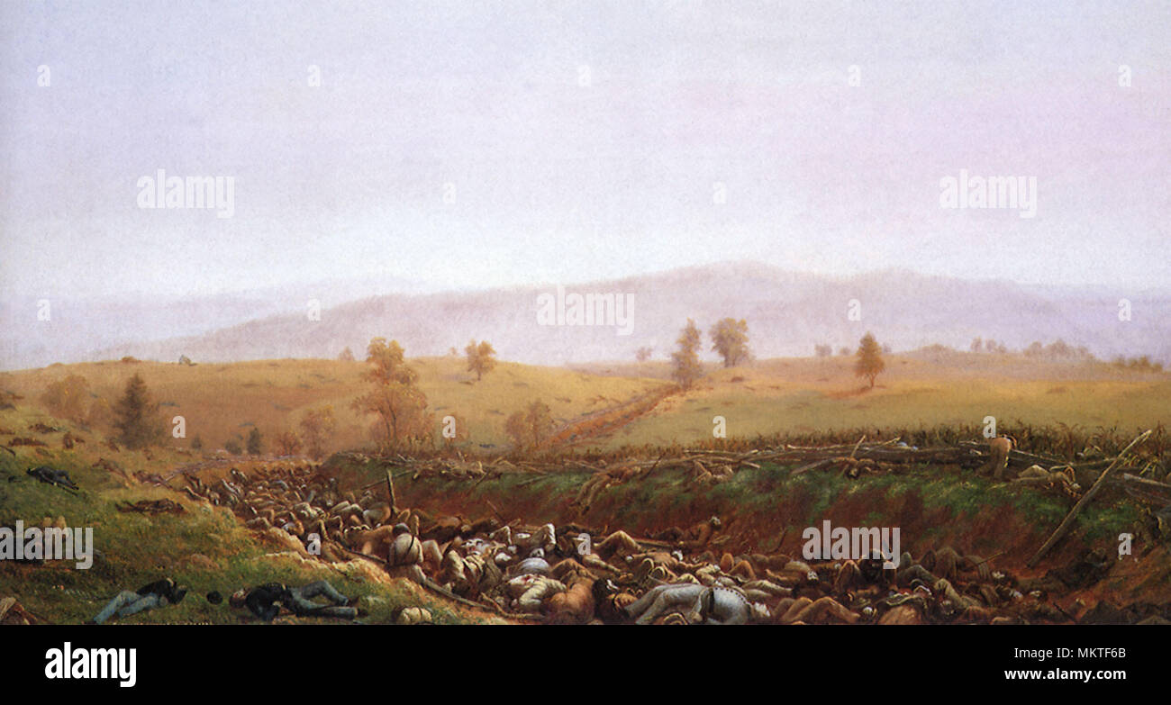 Nach der Schlacht, die blutige Spur - Schlacht von Antietam Stockfoto