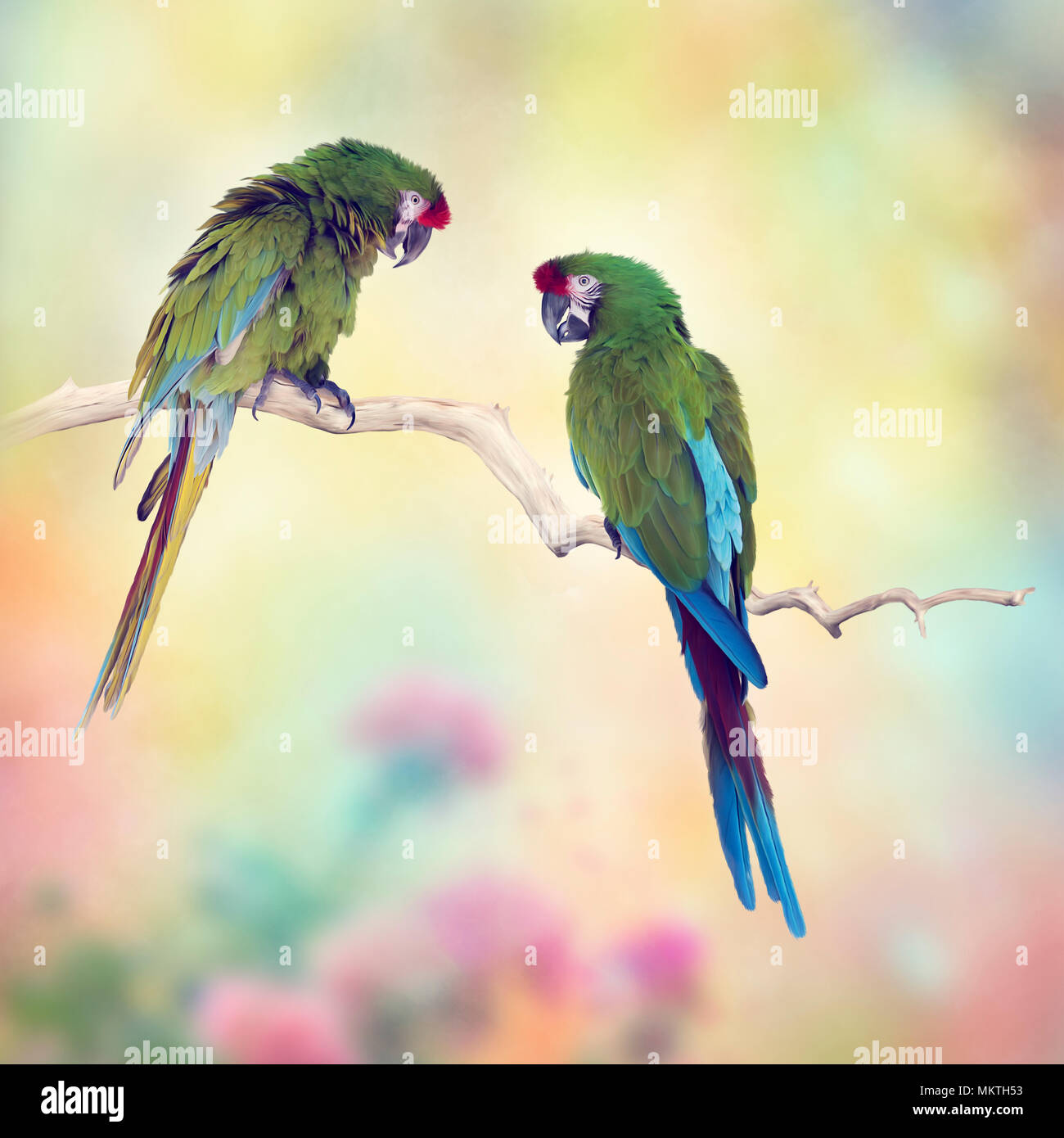 Bunten Ara Papageien Hocken auf einem Zweig. digitaler Kunst. Stockfoto