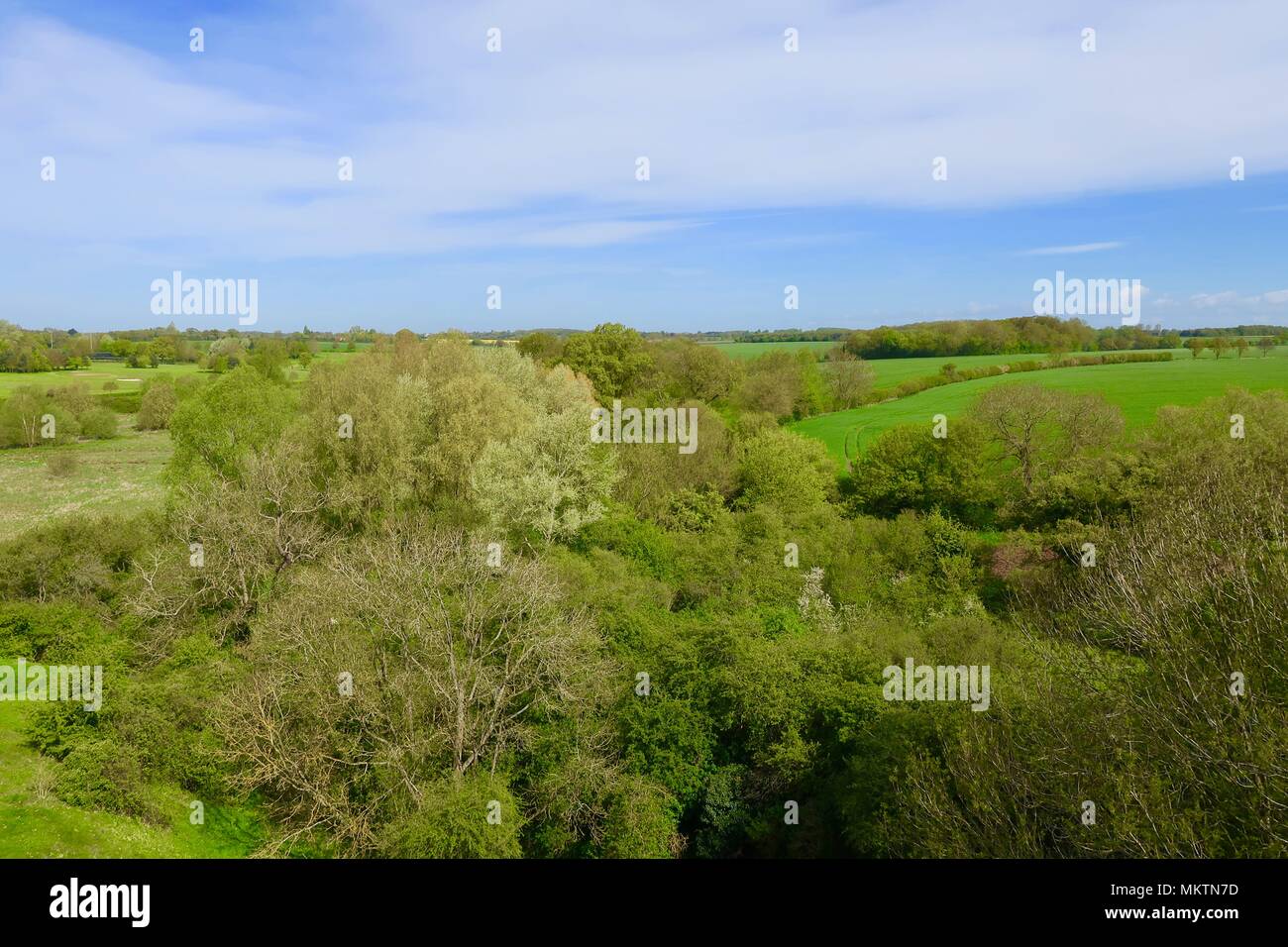 Grüne und angenehme Land. Rolling englische Landschaft. Framlingham, Suffolk. Mai 2018. Stockfoto
